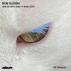 Bob Sleigh - 04 Novembre 2022