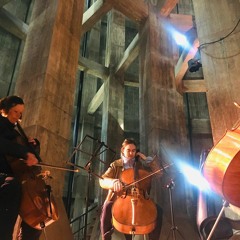 Cello Suite_WERTHER 22_Airport