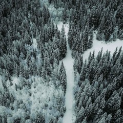 Responsibility [freestyle] (Prod.Phobia + Saibagun + Tamino404)