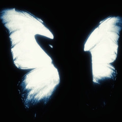 butterfly doors