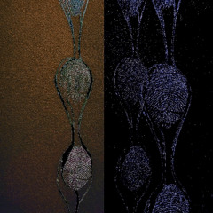 Propagate w/ Moli: 25th March '25