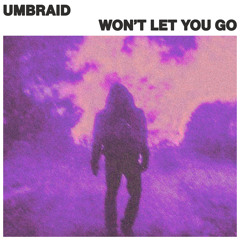 Won't Let You Go