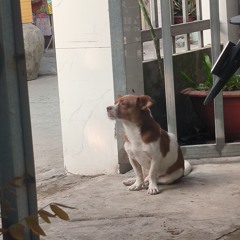 “Bolero”-Thua-Một-Người-Dưng-MK-Remix-__-Đời-Ai-Biết-Trước-Ngày-Mai-Ta-Sẽ-Ra-Sao-Remix-_CMT-BEAT_.mp