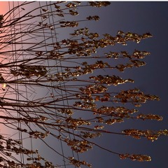 Burn Out (Jmski Remix)