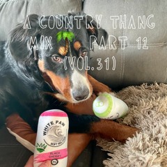 A COUNTRY THANG MIX 🤠 PART 12 (VOL.31)