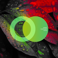 Kinree, YampolSky - Into The River (Extended Mix)