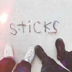 sticks(austyn with a y)