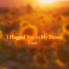 I Hugged You In My Dream