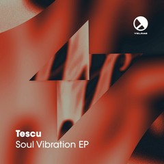 Tescu - Soul Vibration (Original Mix)