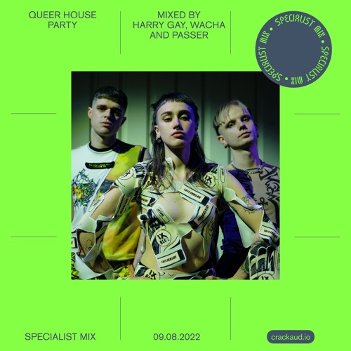Listen to music albums featuring Queer House Party Mixed by Harry Gay