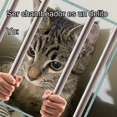 nos queda mucho dolor por recorrer. (c0ver)