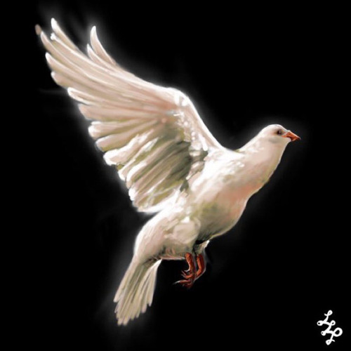 Dave - Peace Dream (EXCLUSIVE)