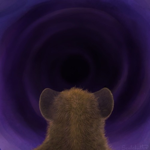 Trying To Find Ourselves (Out Of Here)