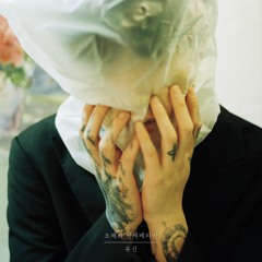 오해의 산세베리아