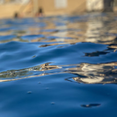 Jesus wot ej uak [COVER]