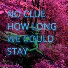 No Clue How Long We Could Stay