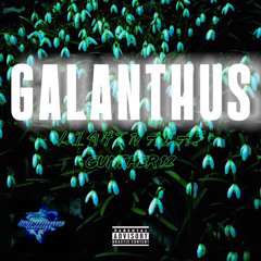 Galanthus(HoaXuyenTuyet) LightNatas w/ Gunther12 (Prod.The Ushanka Boy)