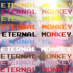 Eternal Monkey