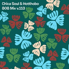 808MIX v.113 — mixed by CHICA SOUL & HOTTHOBO