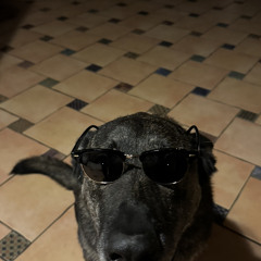 Dollar in my pocket 3