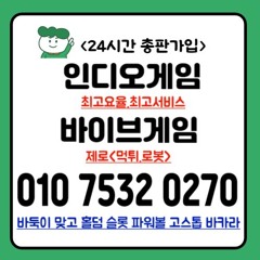 인디오게임 바이브게임 AK게임 010 7532 0270