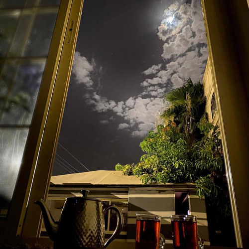 لكني الين معك من عودك المنزوي - صالح النشيرا