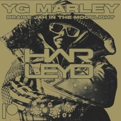 YG MARLEY - PRAISE JAH (HARLEY D BOOTLEG) (APRIL 2024 PATREON EXCLUSIVE)