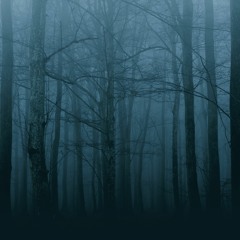 Turn Around, Look At Me