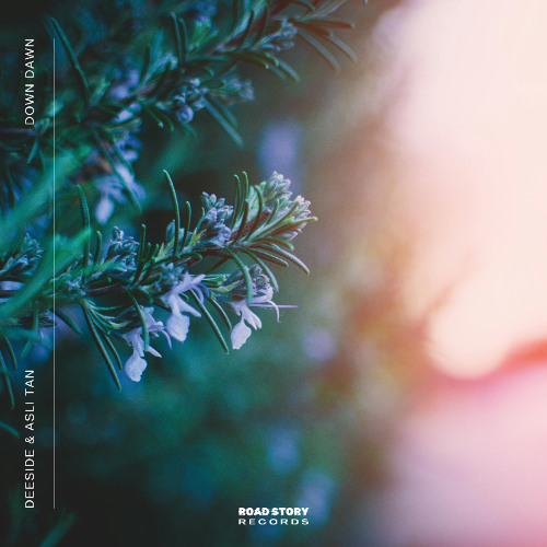 Deeside, Asli Tan - Down Dawn