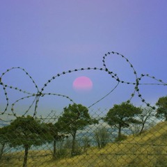 Anima (Alternative 2)