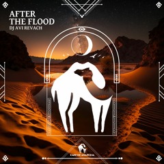 Dj Avi Revach - After The Flood