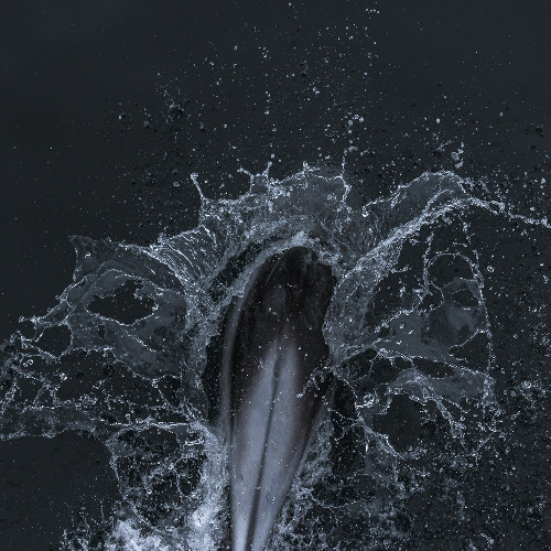 64244 PianoAfro set opener