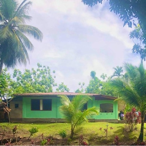 NEACHONG MURA REMIX BY CHRIS ALBERT