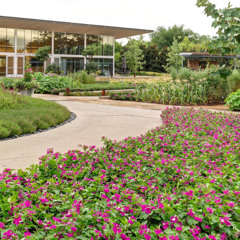 What Impact Does Professional Landscape Construction Have on Your Community