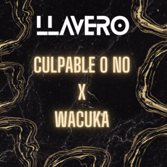 Culpable o No x Wacuka (Llavero Mashup)