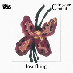 C - low flung