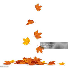 kicking leaves (2025)