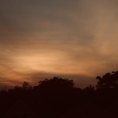 Bottle Caps.A.M. (AI-Assisted)