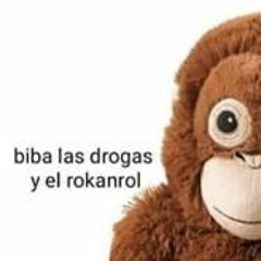 troppo curvy freestyle // non ho più soldi