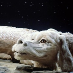 falkor, the luckdragon