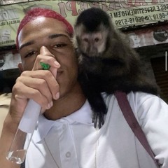 Os Progresso Vai Fluir - Mc Ig, Ryan SP, Neguinho PRT, Traplaudo, Lele JP, Marks, Luuky, Ice Blue