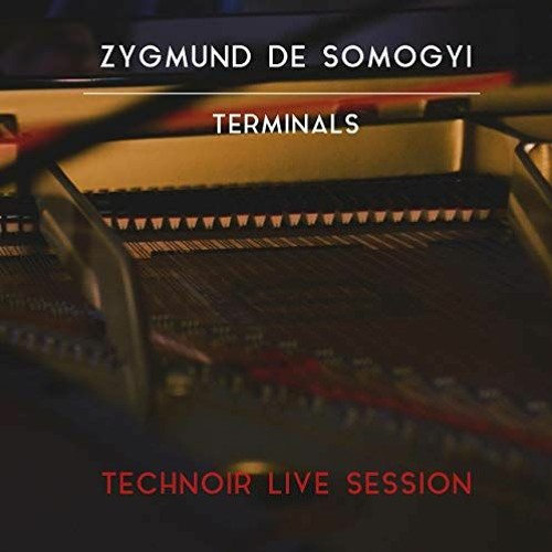 Laura [Technoir Live Session]