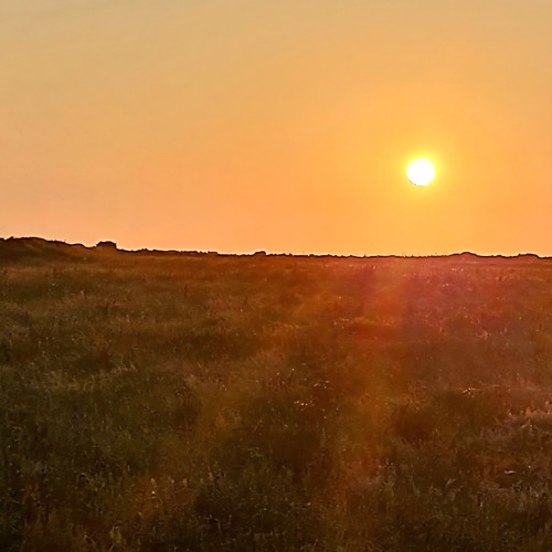 From wastelands to open spaces of living .With Gavin Nichol ... instrumental.