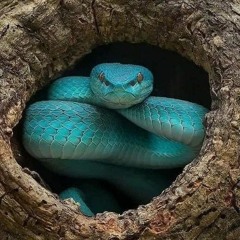 Ionut Mirel Udrea - MUTE UNDERGROUND REC @ 333 xxx twitter.com/kbrown7802