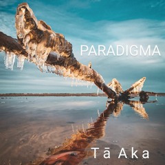 PARADIGMA "Tā Aka" (2023 Ingus Baušķenieks analog remix)