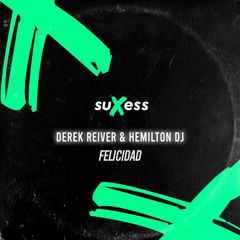 Derek Reiver & Hemilton DJ - Felicidad (Radio Edit)