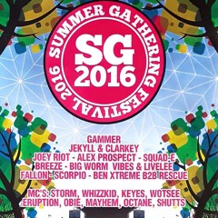 Joey Riot @ HTID & Ravers Reunited - Summer Gathering 2016 (July 2016)