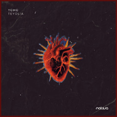 Tümü - Teyolia