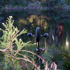Evening Swamp at Mt. Coree