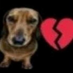 FADANGOS BOSTOLA X JardeGostoso  Esperando No Elevador (DISS)